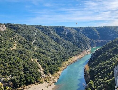 Gorges du Gardon : 3 activités nature à vivre en famille