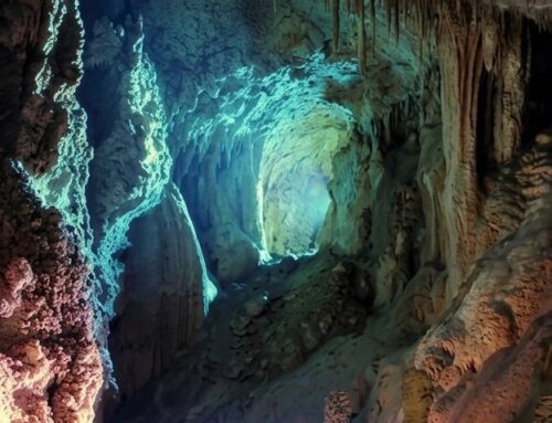 Visite de la Grotte de la Salamandre