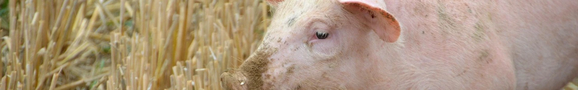 Découvrir canyoning dans le Gard